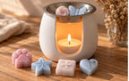 Pack de 15 piezas aromáticas de soja