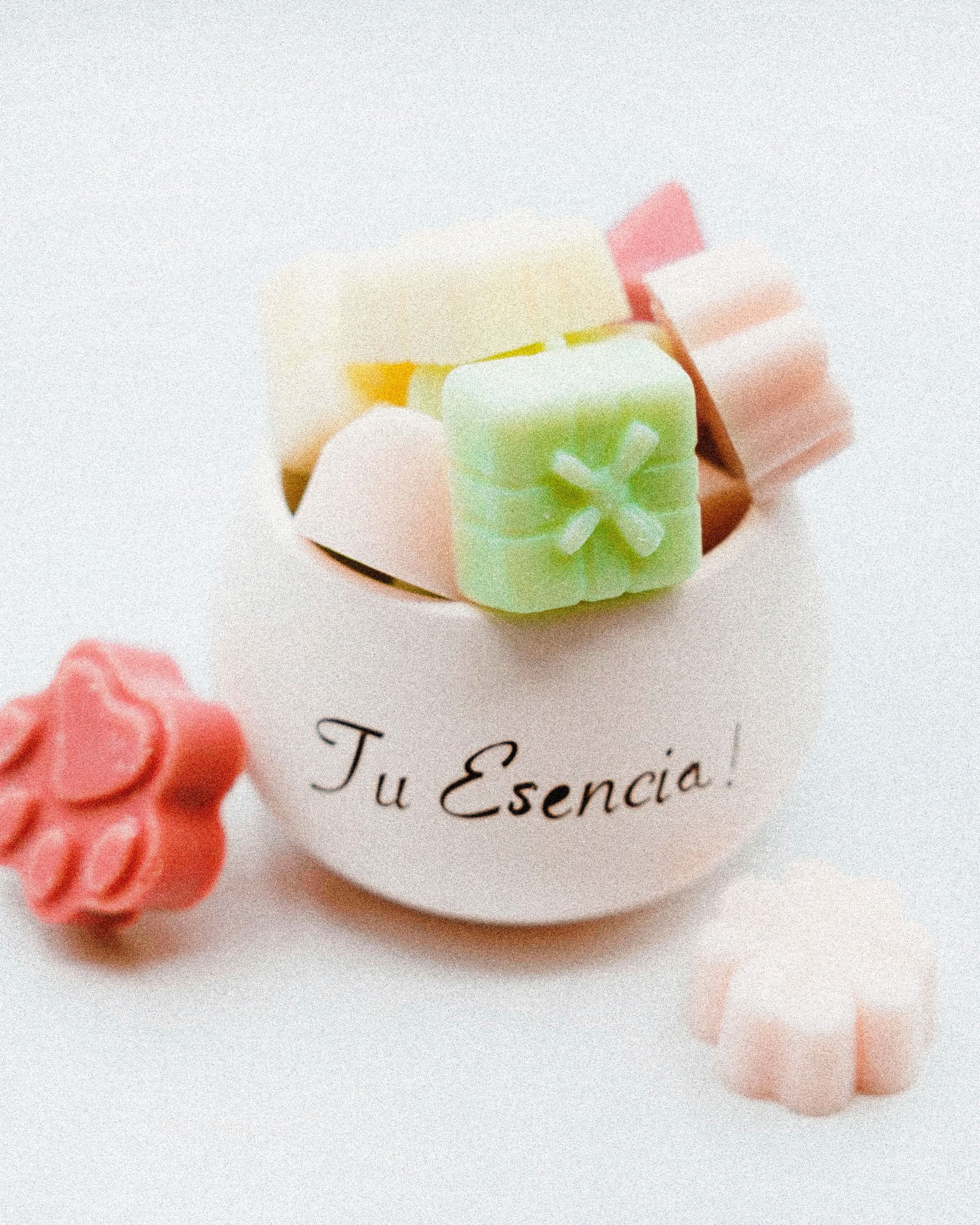 Perfumes sólidos — 6 unidades